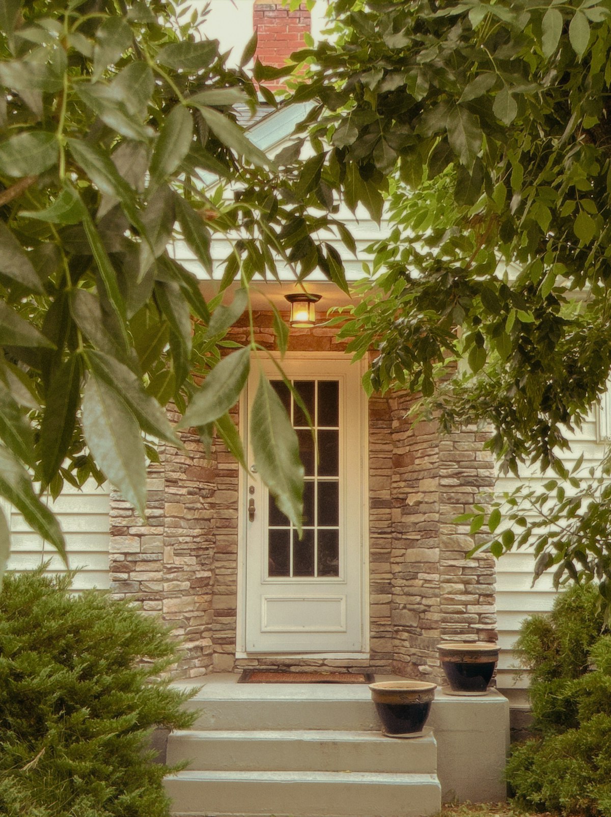 Back Door