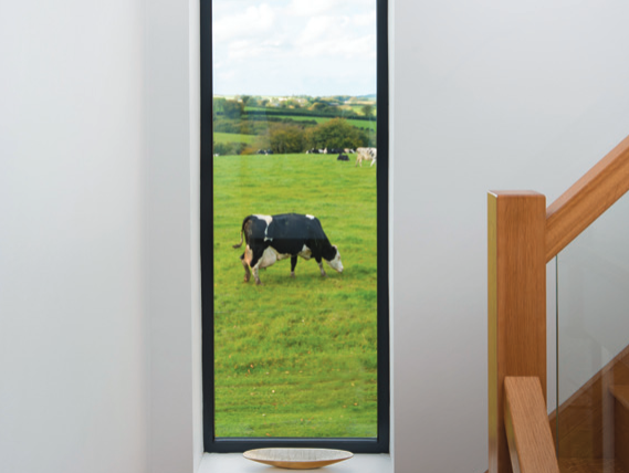 Picture window